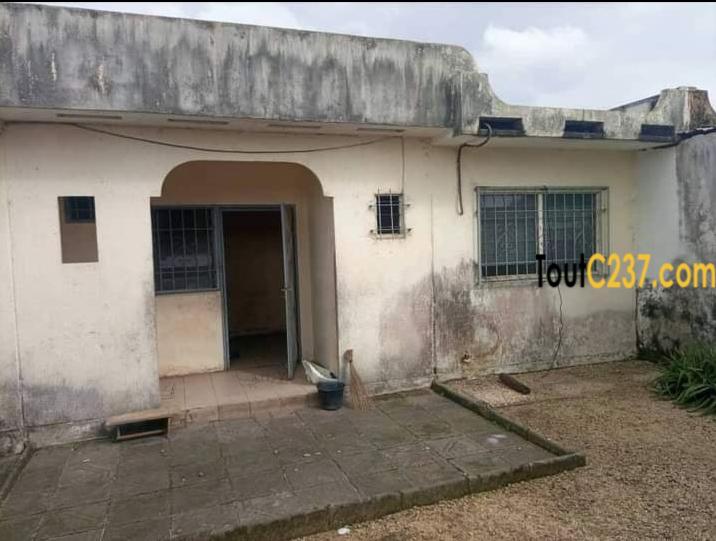 Maison à louer à Bonamoussadi Douala