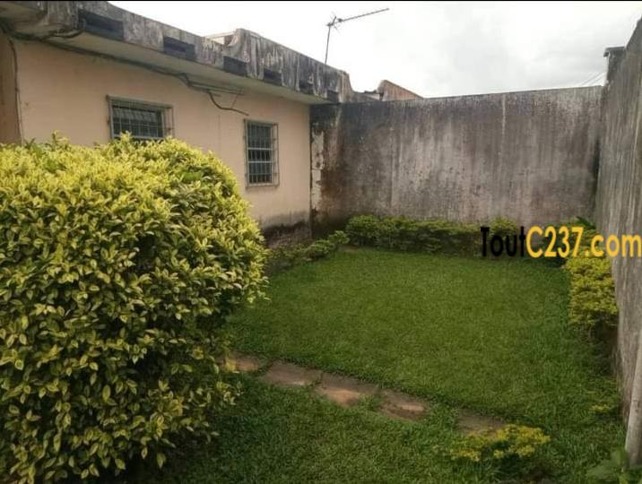 Maison à louer à Bonamoussadi Douala