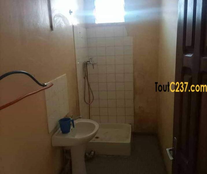 Maison à louer à Bonamoussadi Douala