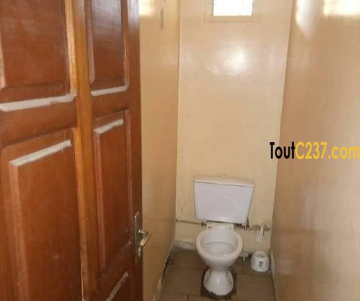 Maison à louer à Bonamoussadi Douala