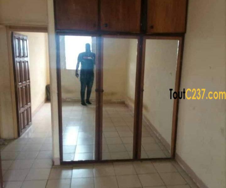 Maison à louer à Bonamoussadi Douala