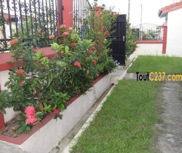 Maison à vendre à Yassa Douala