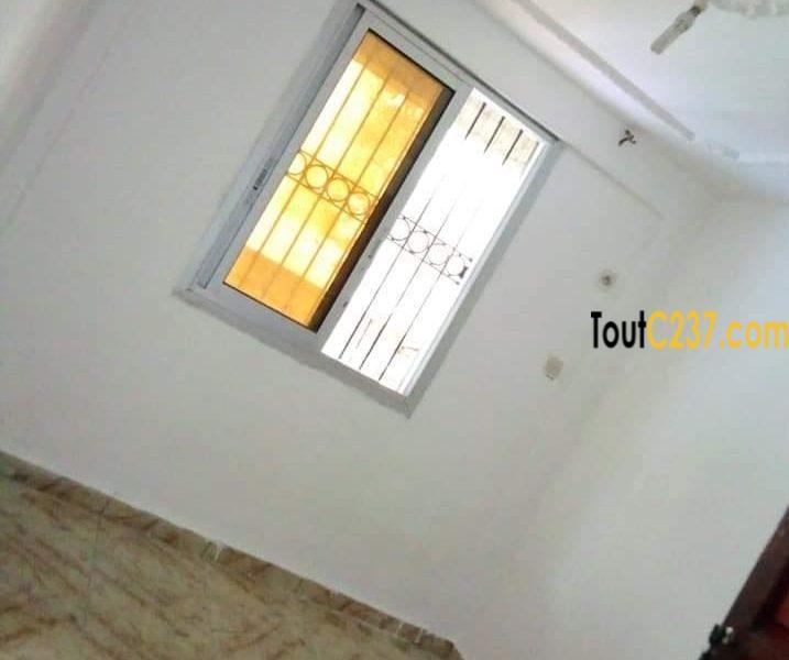 Studio moderne à louer à Bonamoussadi Douala
