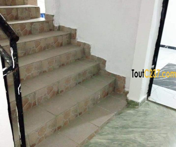 Studio moderne à louer à Bonamoussadi Douala