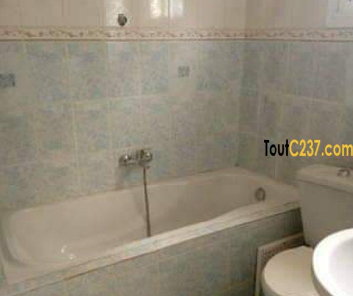 Appartement à louer à Bonapriso Douala
