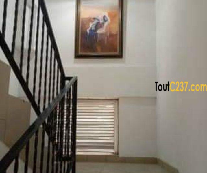 Appartement à louer à Bonapriso Douala