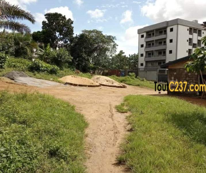 Terrain à vendre à Nyalla rail Douala