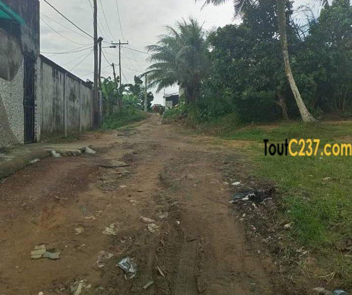 Terrain à vendre à ndogpassi Doualaa