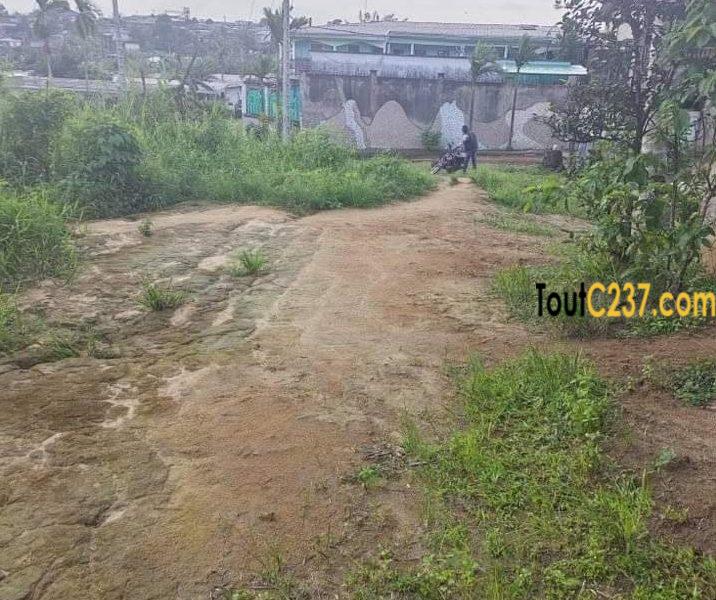 Terrain à vendre à ndogpassi Doualaa