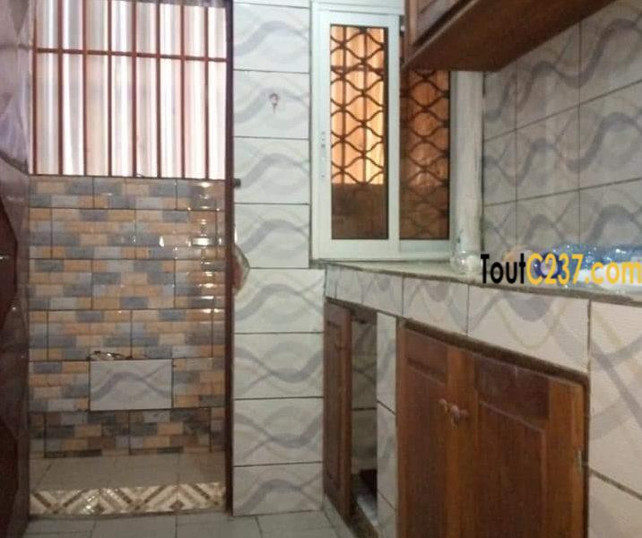 Studio à louer à antenne kotto Douala