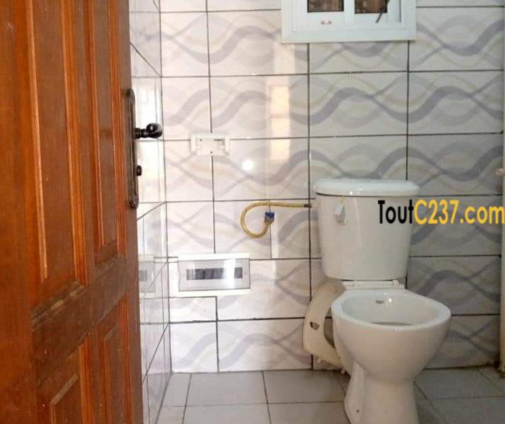 Studio à louer à antenne kotto Douala