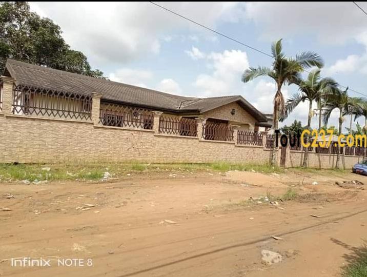 Maison villa à louer à pk13 Douala