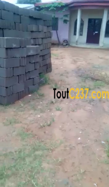 Maison à vendre à Kotto Douala