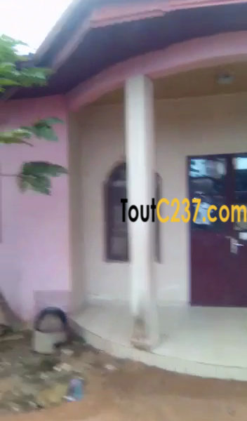 Maison à vendre à Kotto Douala