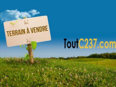 Terrain à vendre à Logpom Douala