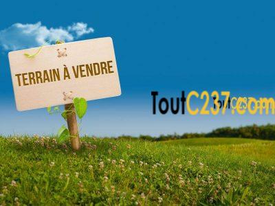 Terrain à vendre à Logpom Douala
