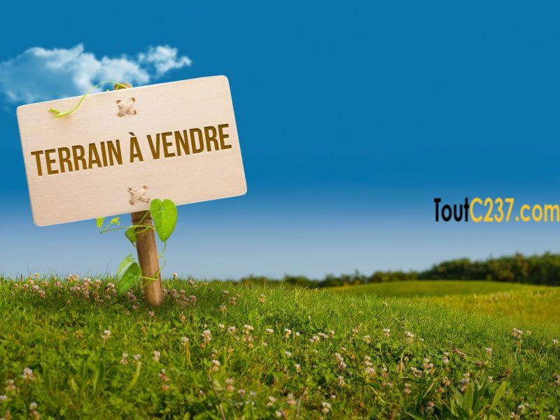 Terrain à vendre à Logpom Douala