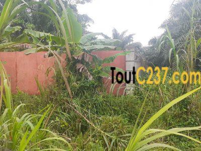 Terrain à vendre à Souza par Bonaberi