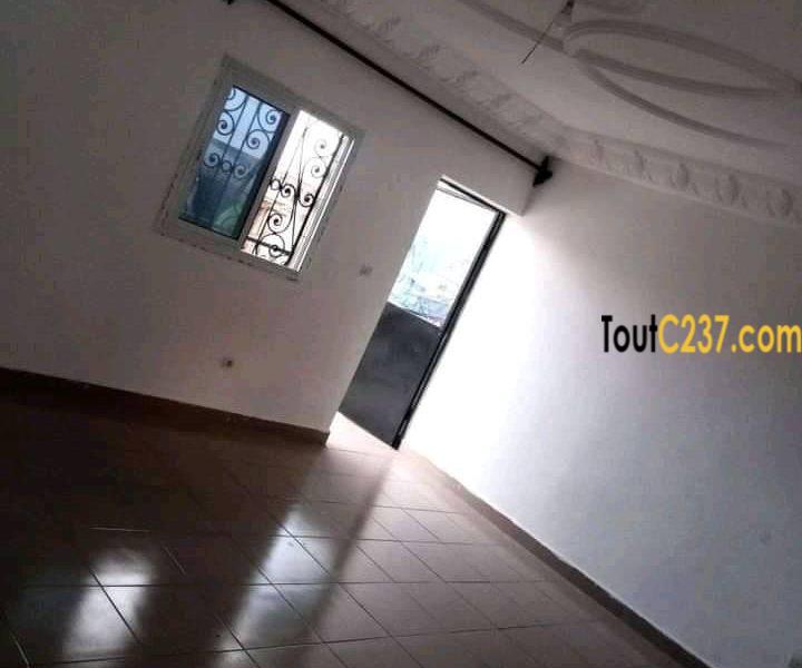 Appartement à louer à Bonamoussadi, Douala