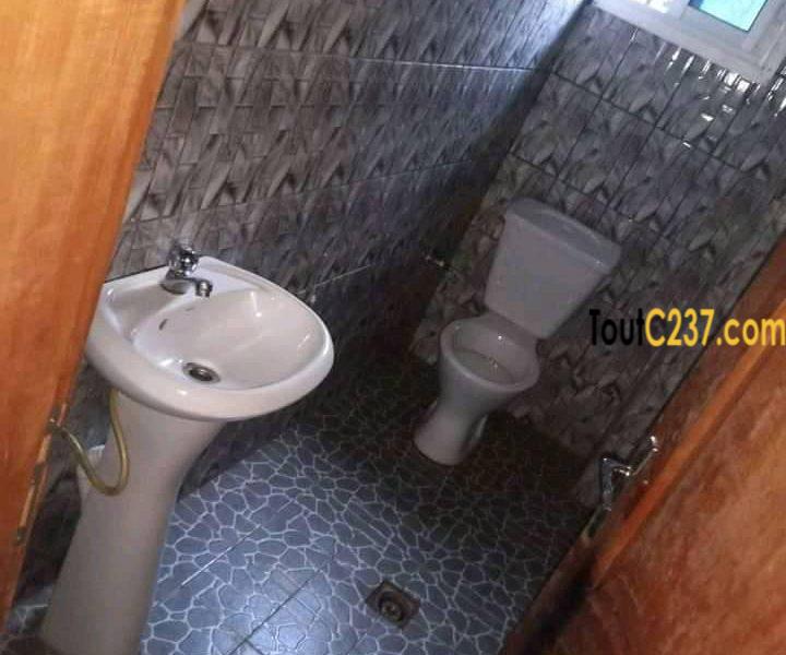Appartement à louer à Bonamoussadi, Douala