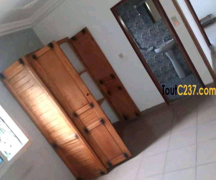 Appartement à louer à Bonamoussadi, Douala