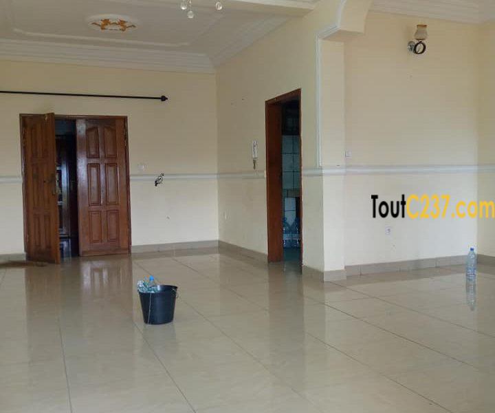 Appartement à louer à Bonamoussadi Douala