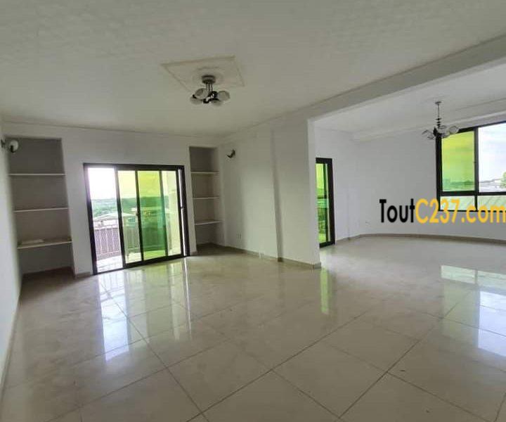 Appartement à louer à Bonamoussadi Douala
