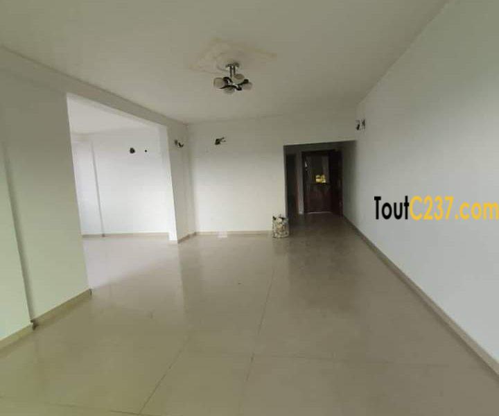 Appartement à louer à Bonamoussadi Douala