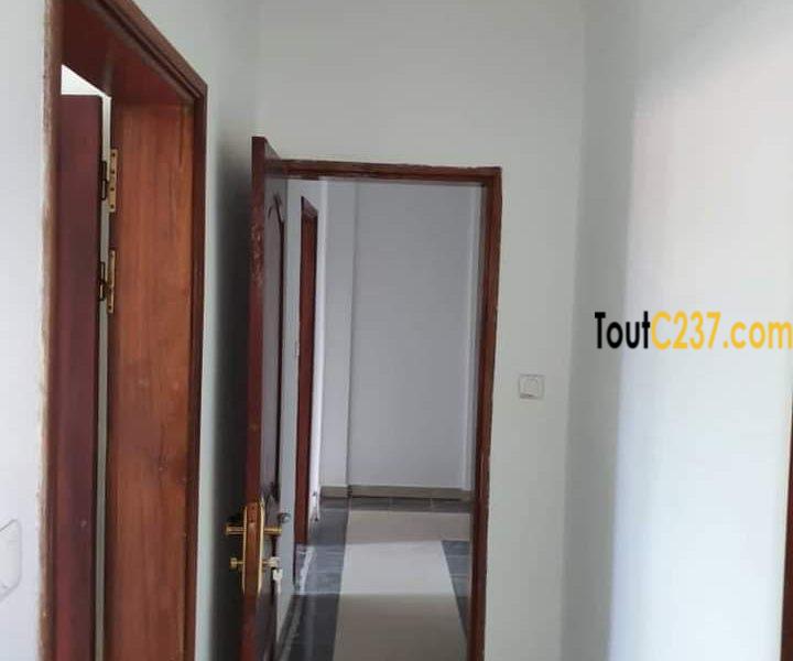 Appartement à louer à Bonamoussadi Douala