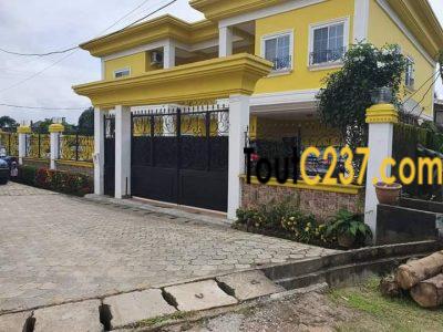 Duplex meublé à vendre à kotto bangue