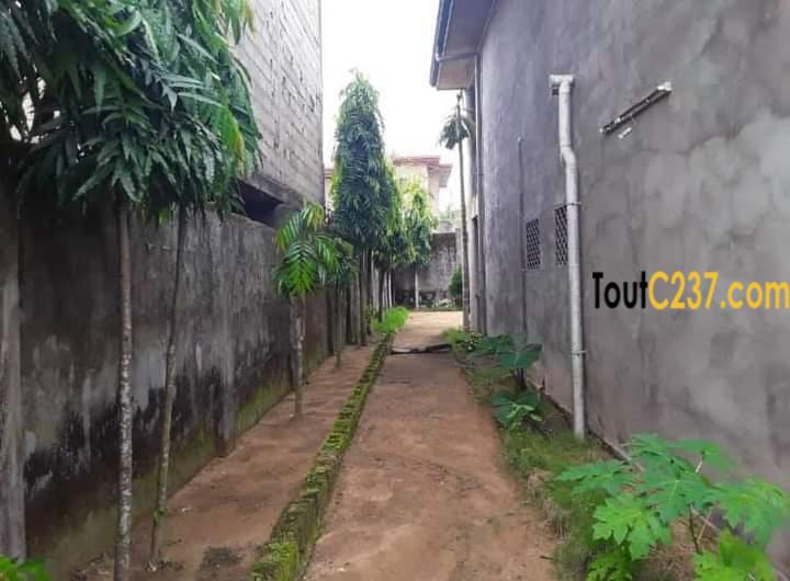 Duplex à vendre à Logpom Douala