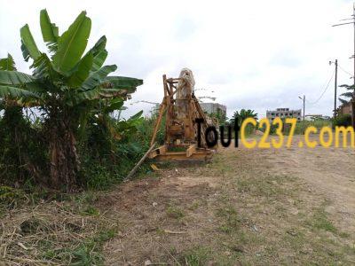 Terrain à vendre à Japoma Douala