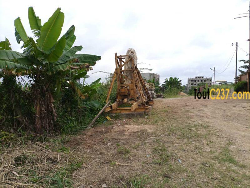 Terrain à vendre à Japoma Douala