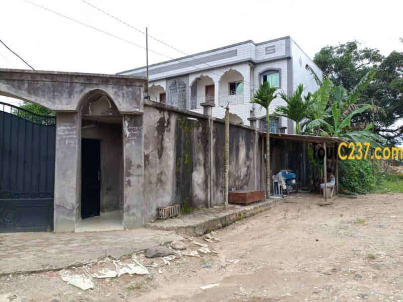 Terrain à vendre à Japoma Douala