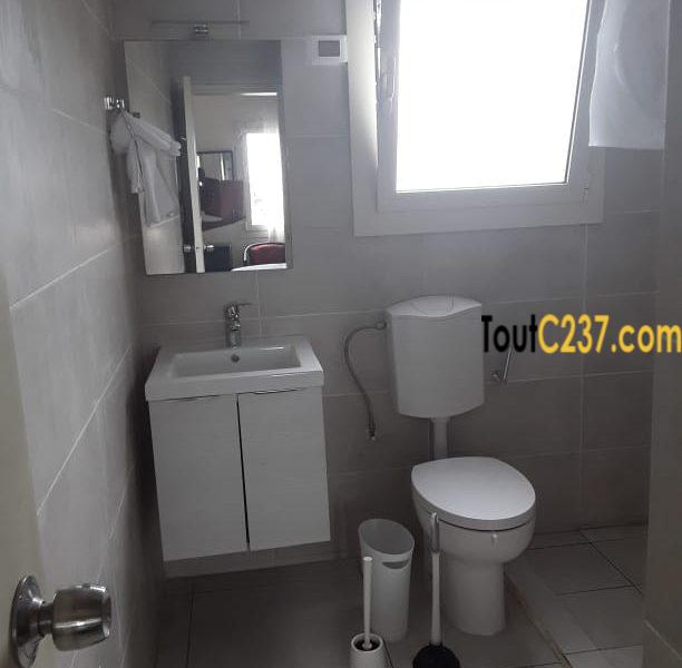 Appartement meublé à louer à Bonapriso