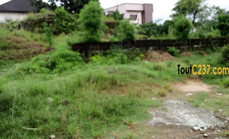 Terrain à vendre à Bonaberi besseke