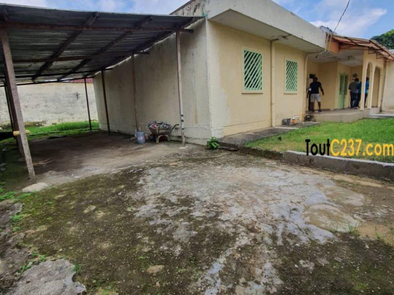 Villa sic à louer à Kotto Douala