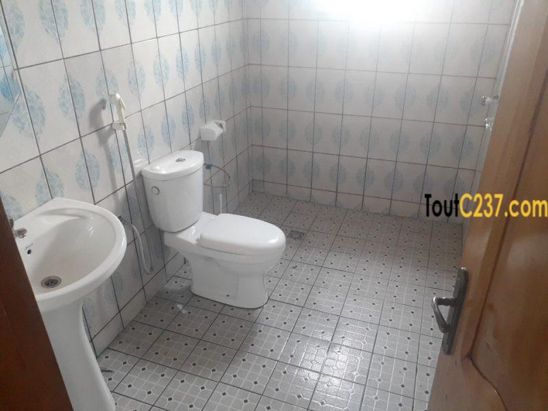 Appartement à louer à Bonamoussadi Douala