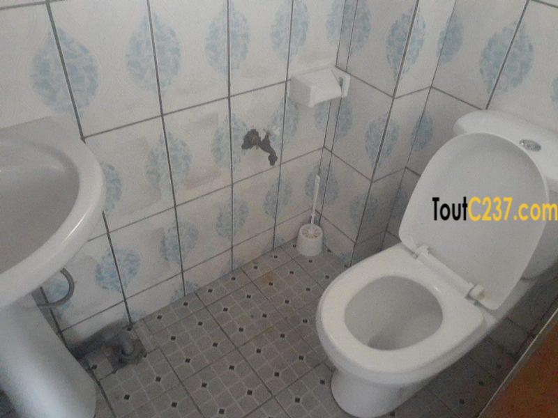Appartement à louer à Bonamoussadi Douala