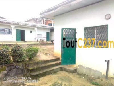 Villa à vendre à Logpom Douala