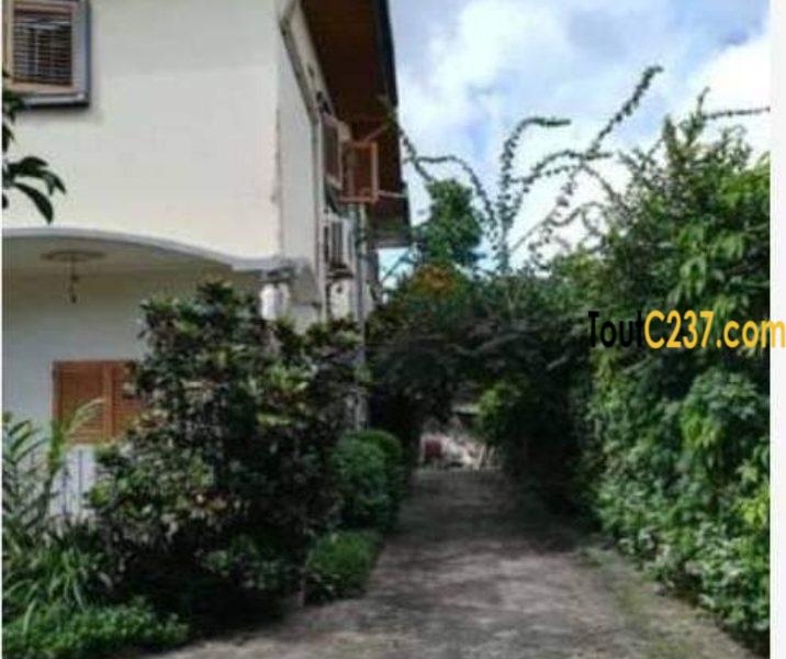 Maison duplex à vendre à Logpom Douala