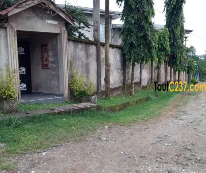Duplex à vende à Logpom Douala