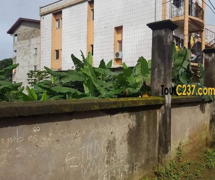 Immeuble à vendre à Logpom Douala