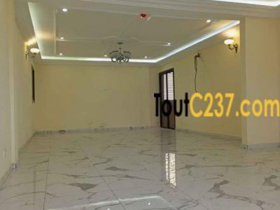 Appartement neuf à louer à Akwa Douala