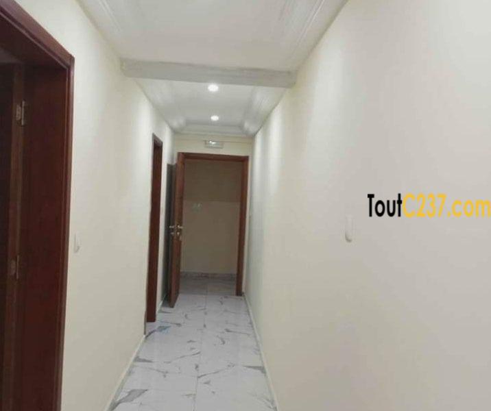 Appartement neuf à louer à Akwa Douala