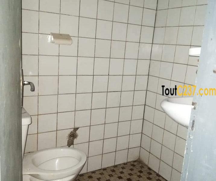 Maison à louer à pk12 Douala