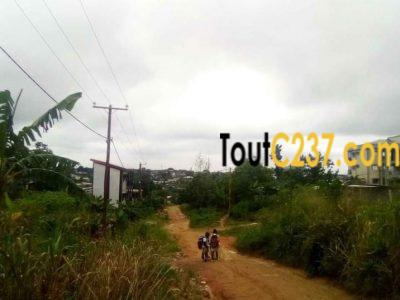 Terrain à vendre à Logpom Douala