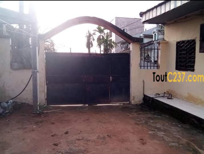 Concession à vendre à Logpom Douala