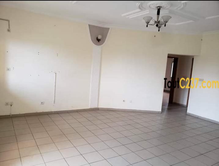 Appartement de 3 chambres à louer