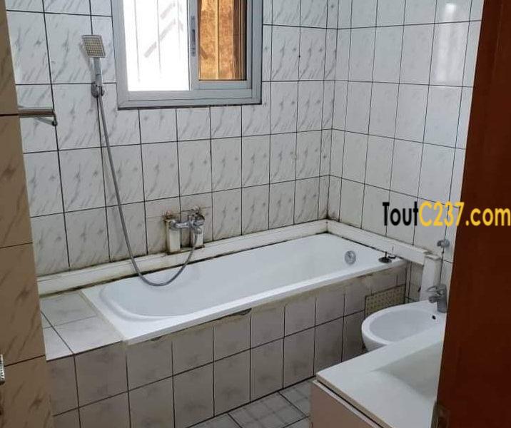 Appartement de 3 chambres à louer